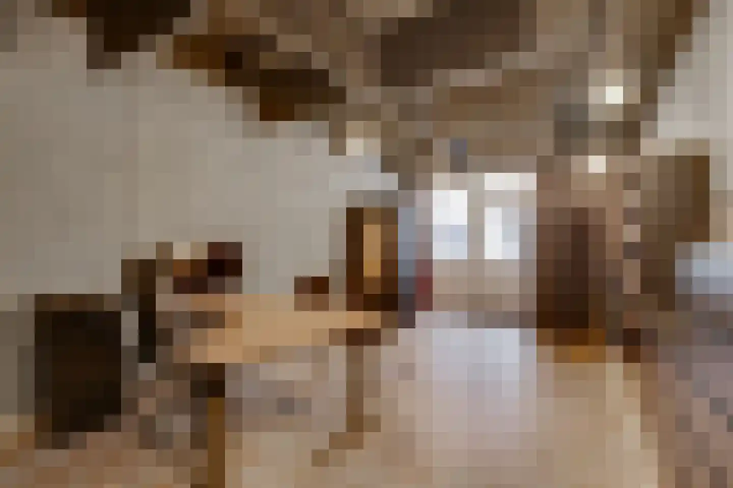 Lochemseweg 2 Borculo thumbnail 36