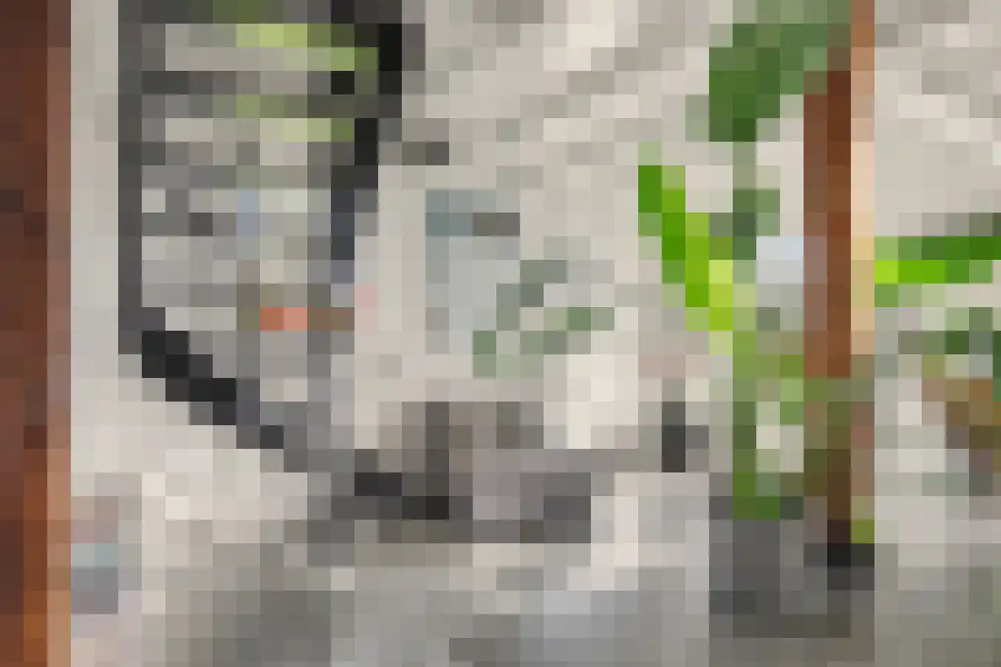 Lochemseweg 20 Warnsveld thumbnail 10