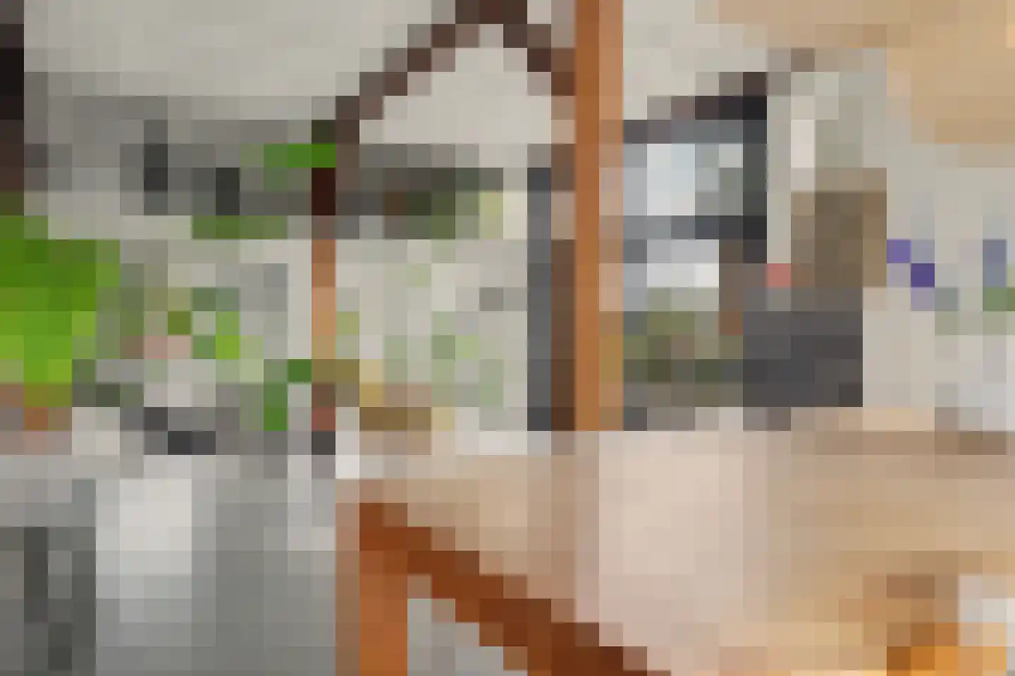 Lochemseweg 20 Warnsveld thumbnail 12