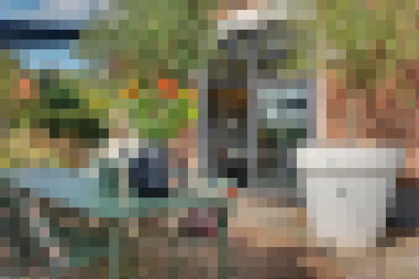 Lochemseweg 20 Warnsveld thumbnail 29
