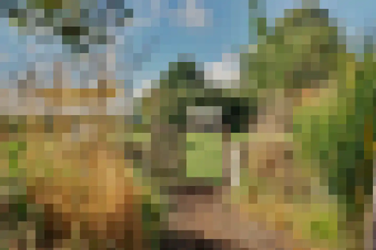 Lochemseweg 20 Warnsveld thumbnail 37