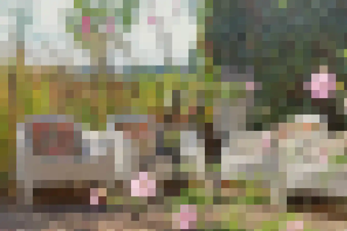 Lochemseweg 20 Warnsveld thumbnail 4