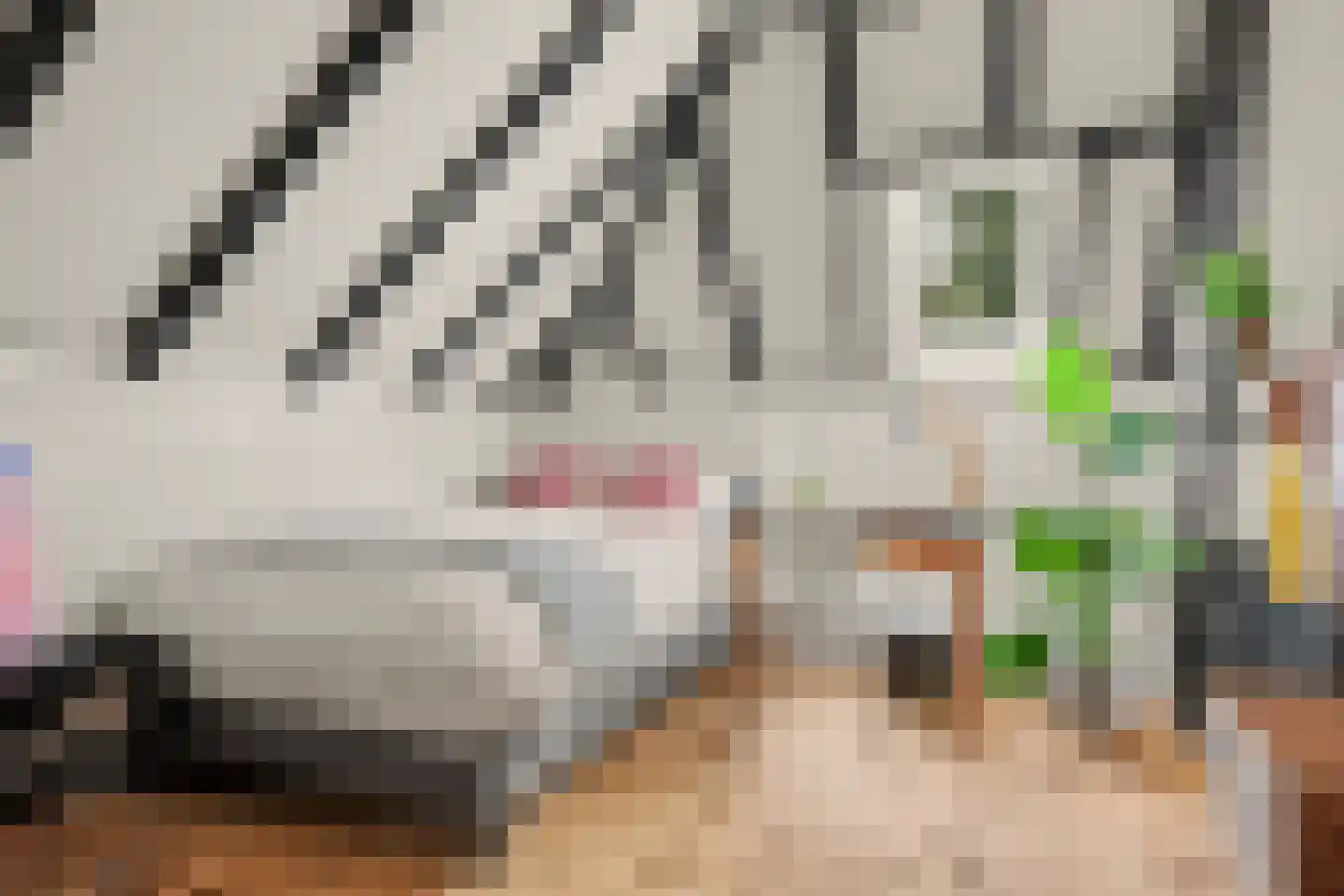 Lochemseweg 20 Warnsveld thumbnail 54