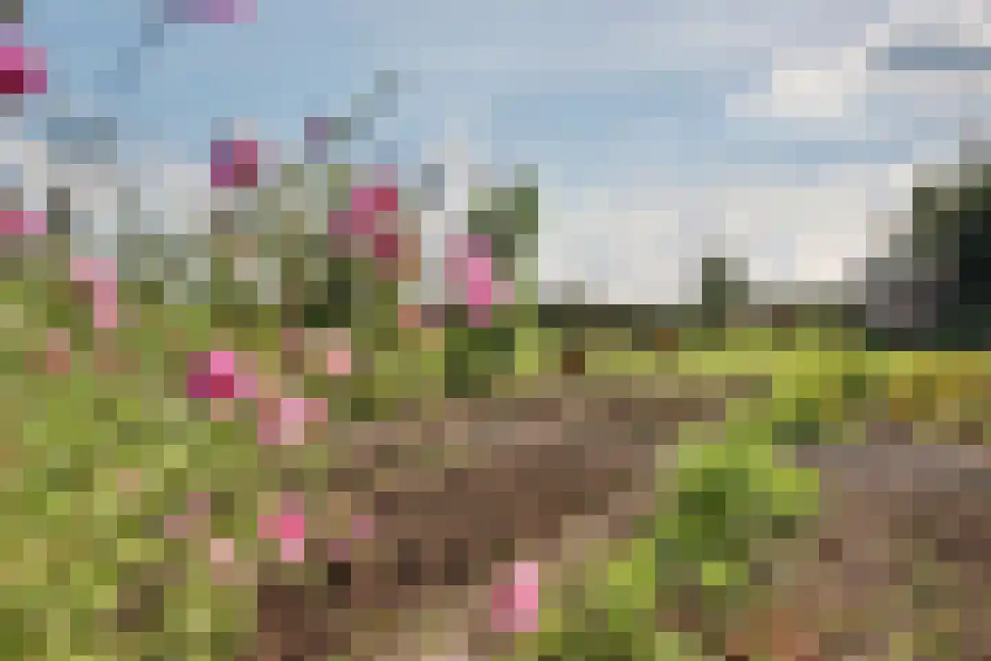 Lochemseweg 20 Warnsveld thumbnail 62