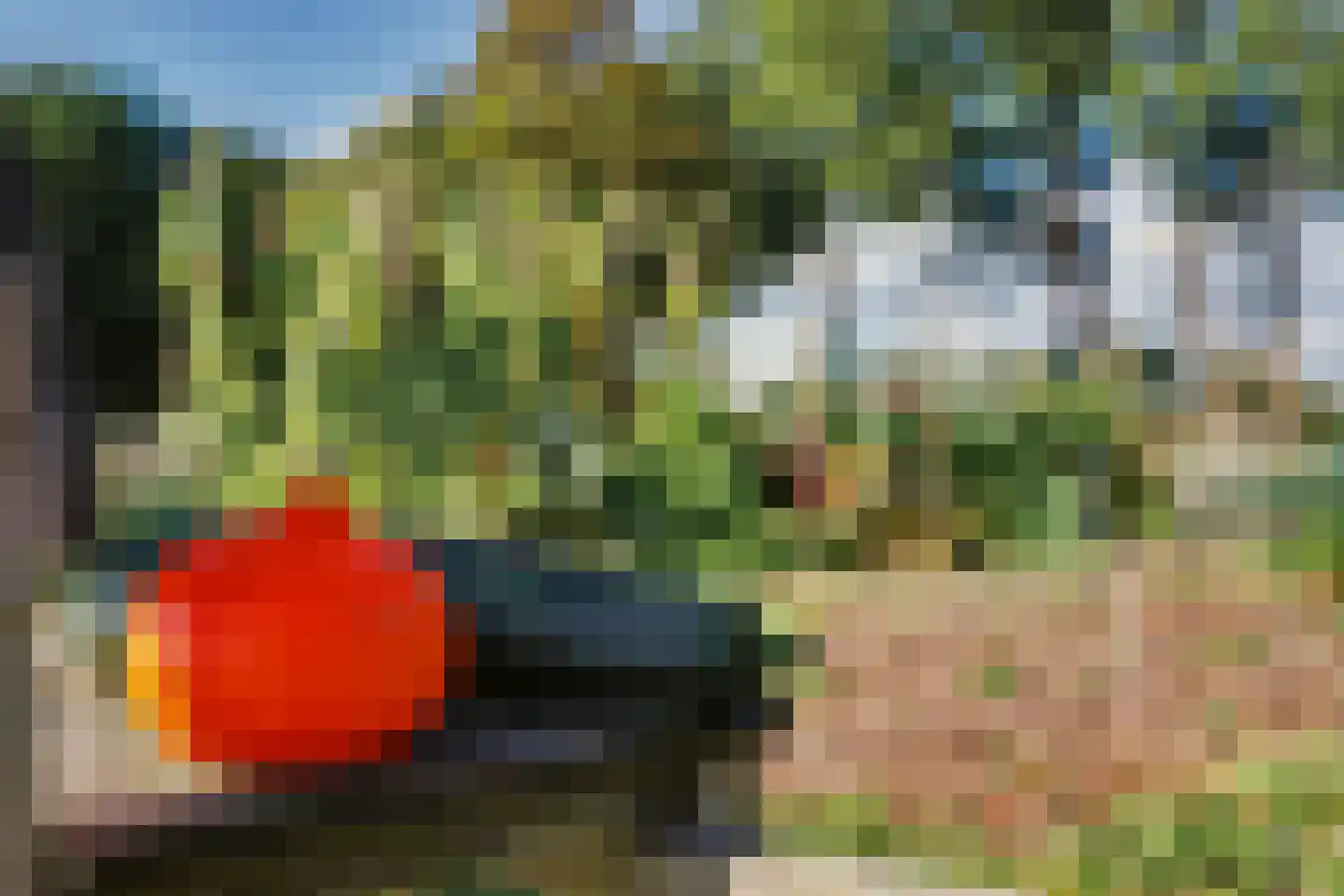 Lochemseweg 20 Warnsveld thumbnail 64