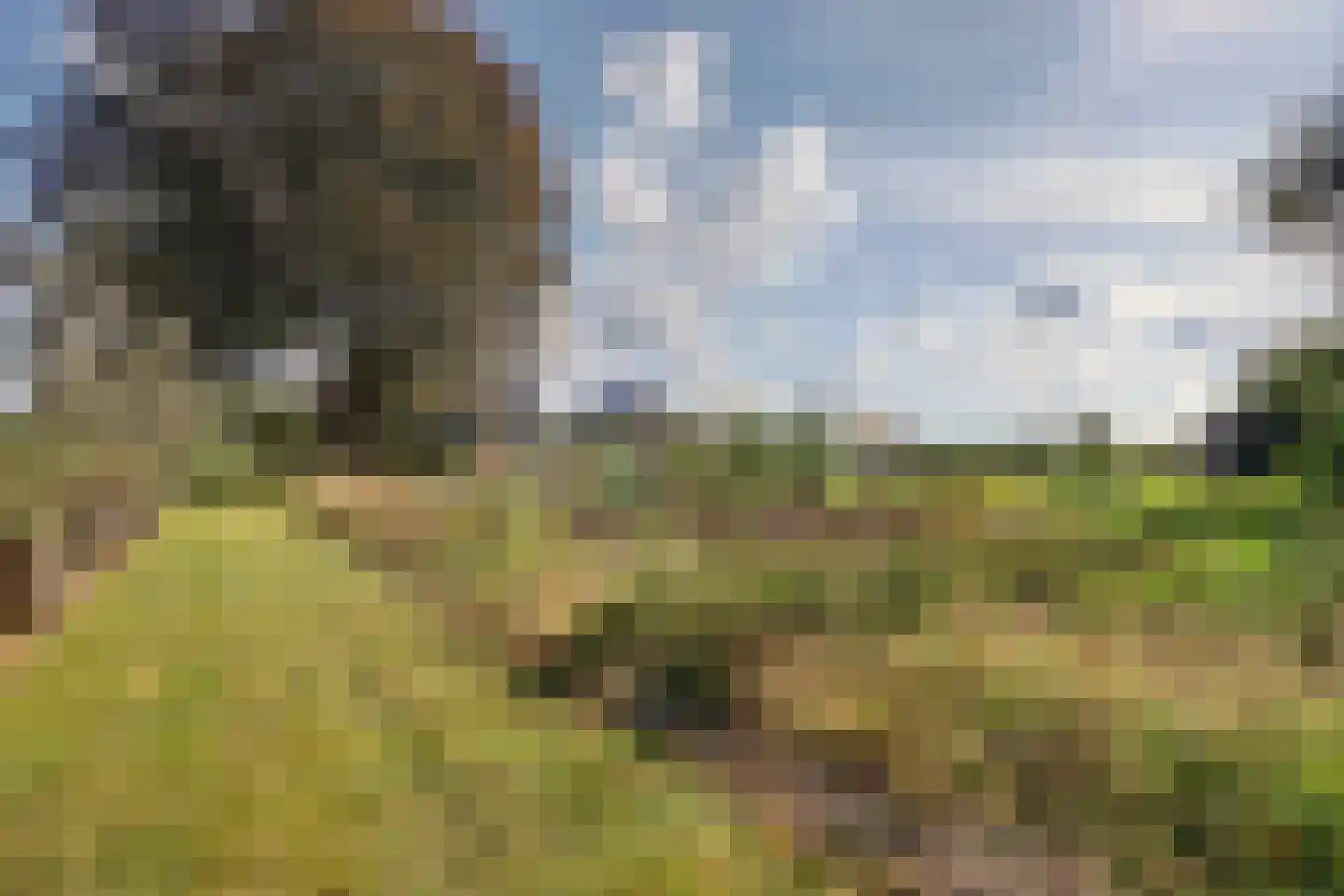 Lochemseweg 20 Warnsveld thumbnail 65