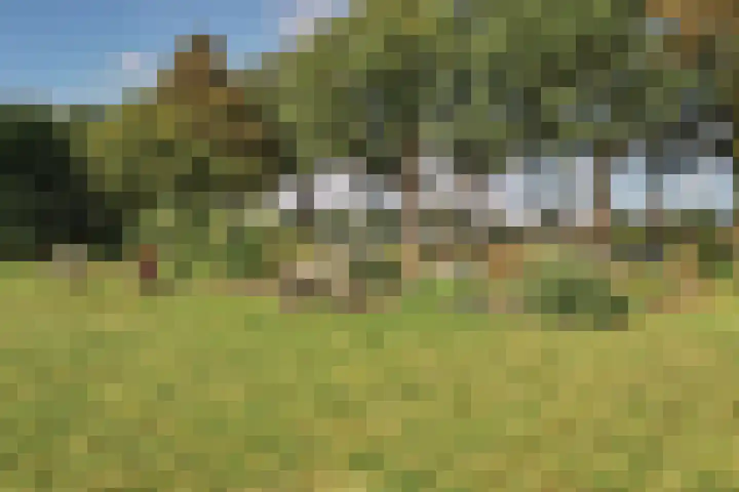 Lochemseweg 20 Warnsveld thumbnail 66