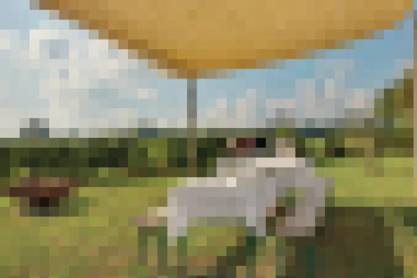 Lochemseweg 20 Warnsveld thumbnail 68