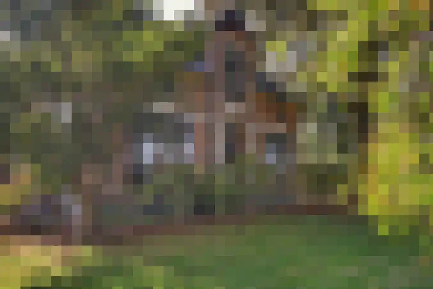 Lochemseweg 20 Warnsveld thumbnail 72