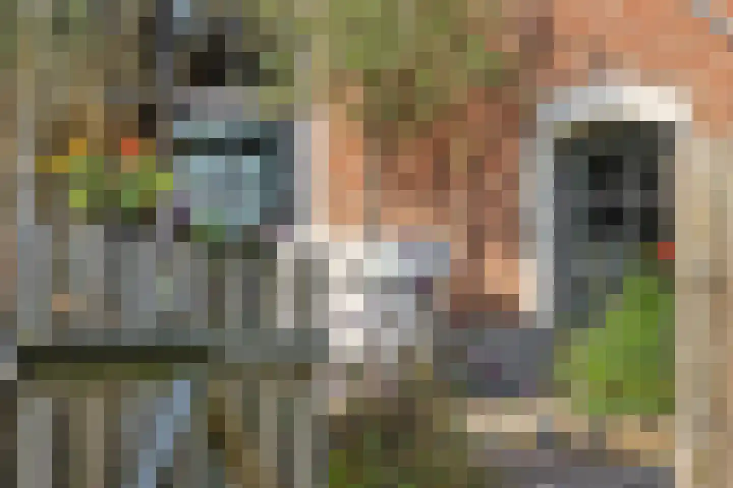 Lochemseweg 20 Warnsveld thumbnail 75