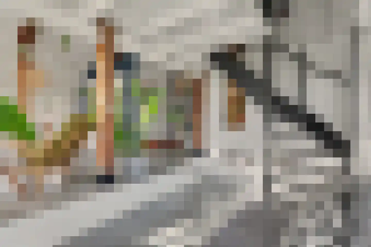 Lochemseweg 20 Warnsveld thumbnail 8