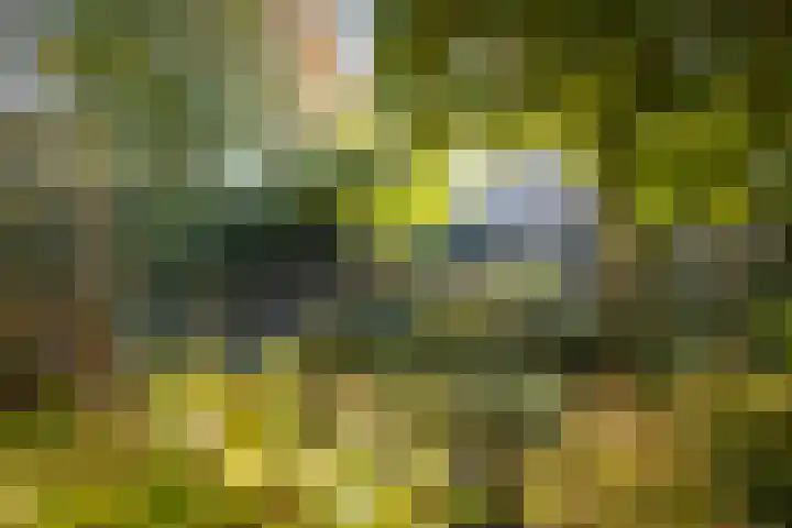 Lochemseweg 29 Epse thumbnail 22
