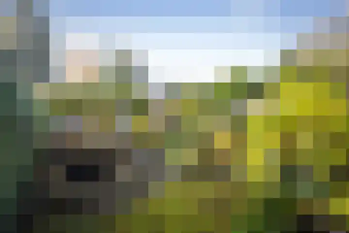 Lochemseweg 29 Epse thumbnail 23