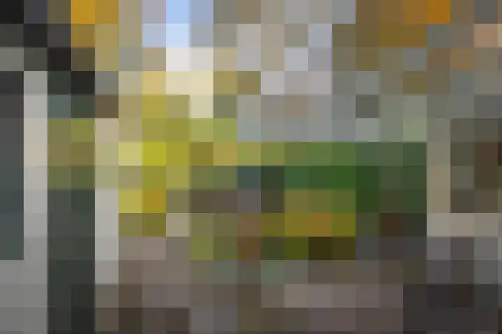 Lochemseweg 29 Epse thumbnail 26