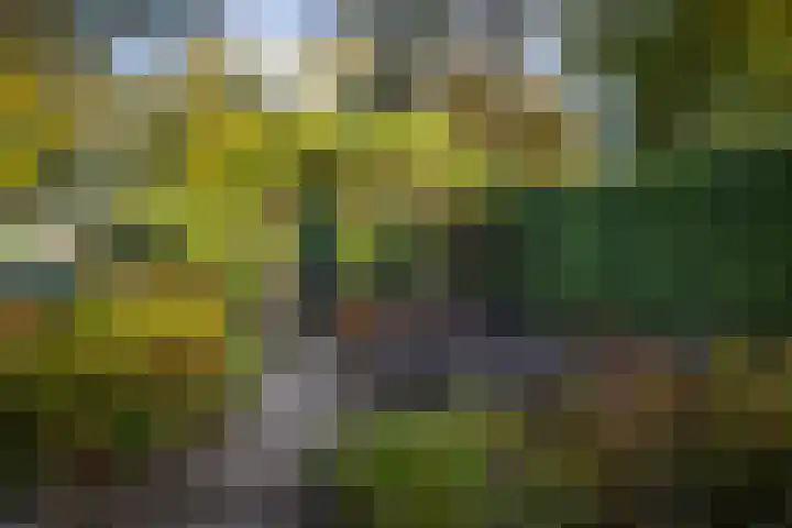 Lochemseweg 29 Epse thumbnail 27