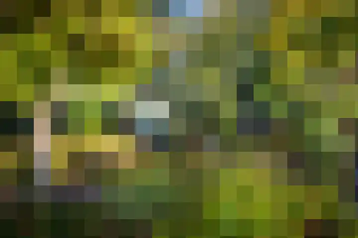Lochemseweg 29 Epse thumbnail 28