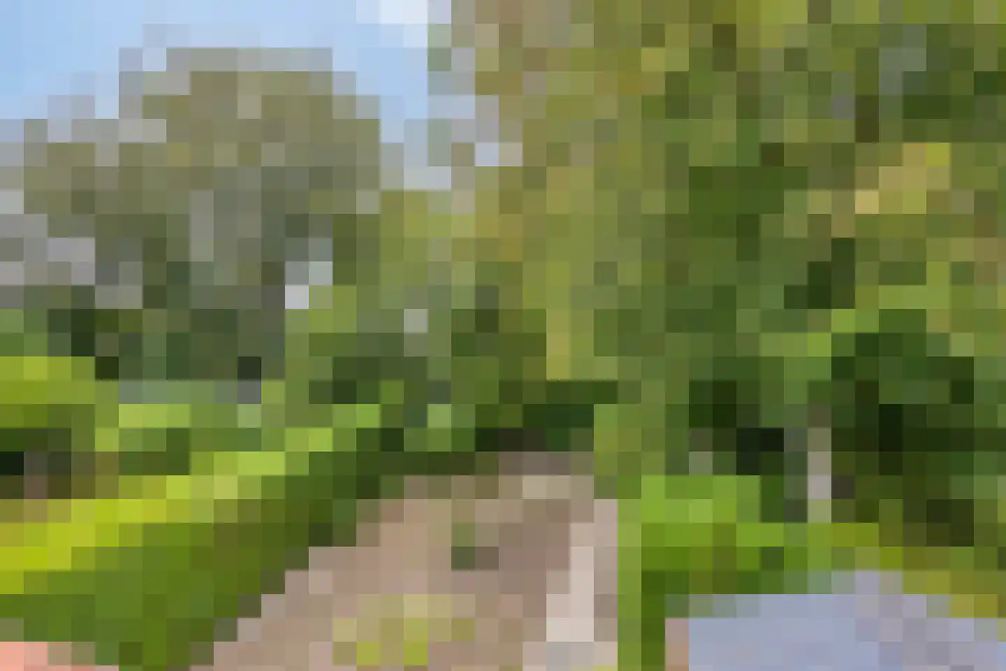 Lochemseweg 31 Epse thumbnail 19