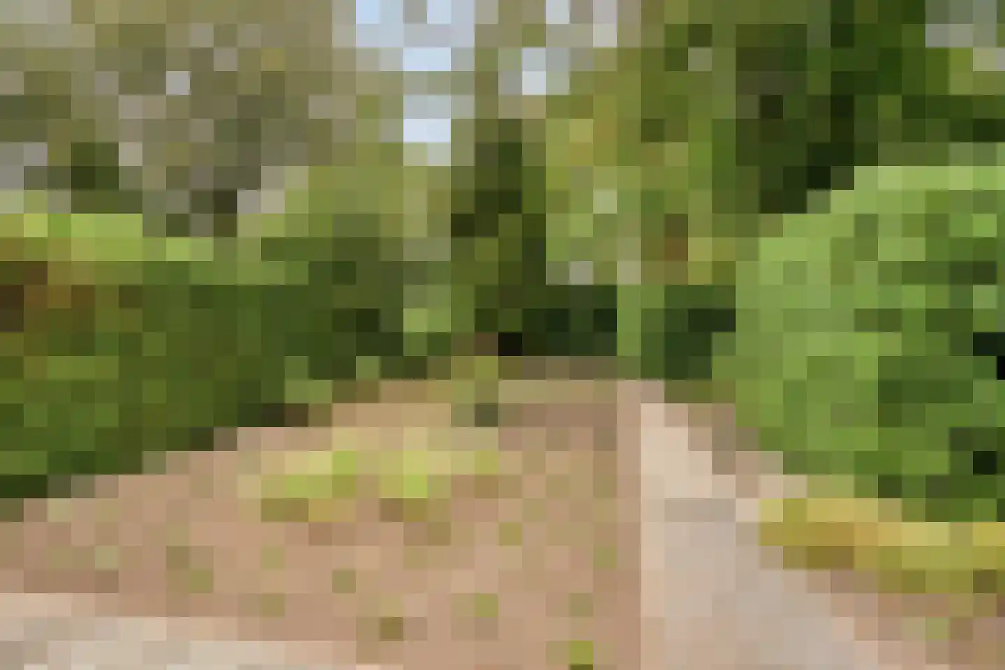 Lochemseweg 31 Epse thumbnail 20