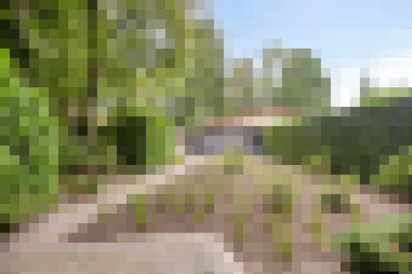 Lochemseweg 31 Epse thumbnail 21