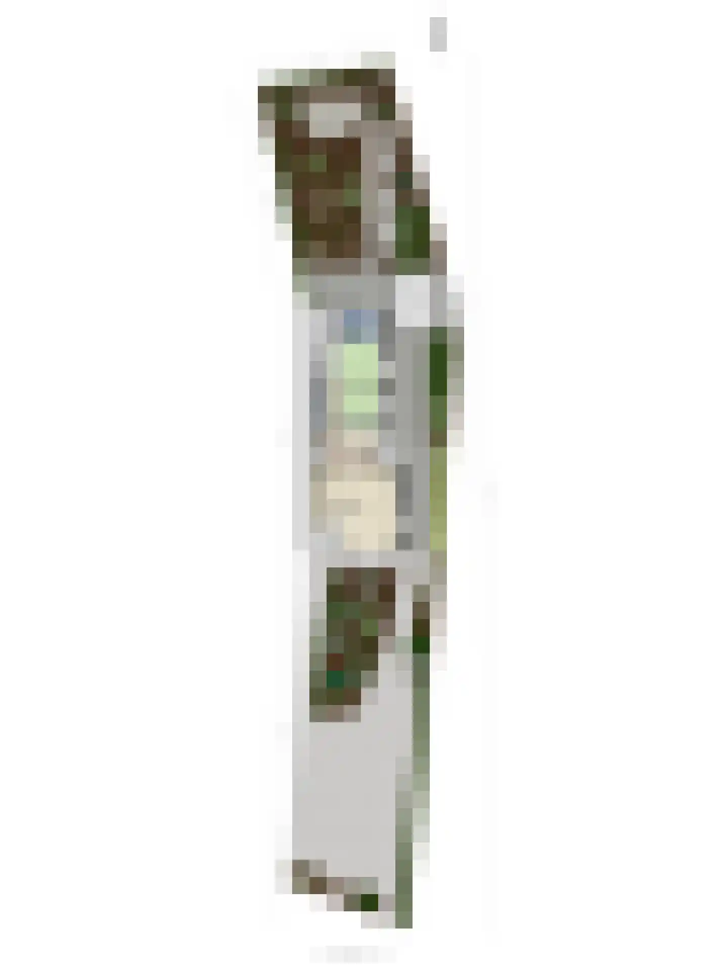 Lochemseweg 31 Epse thumbnail 37