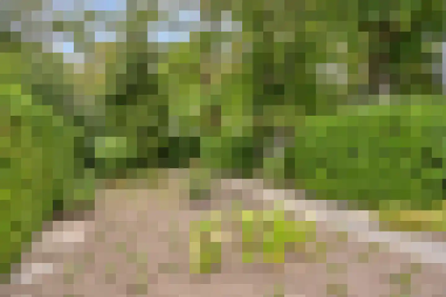 Lochemseweg 31 Epse thumbnail 4