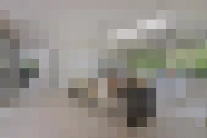 Lochemseweg 39 Barchem thumbnail 18
