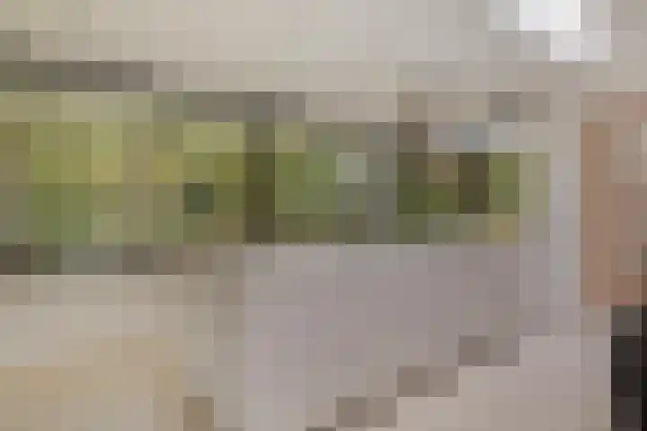 Lochemseweg 39 Barchem thumbnail 19