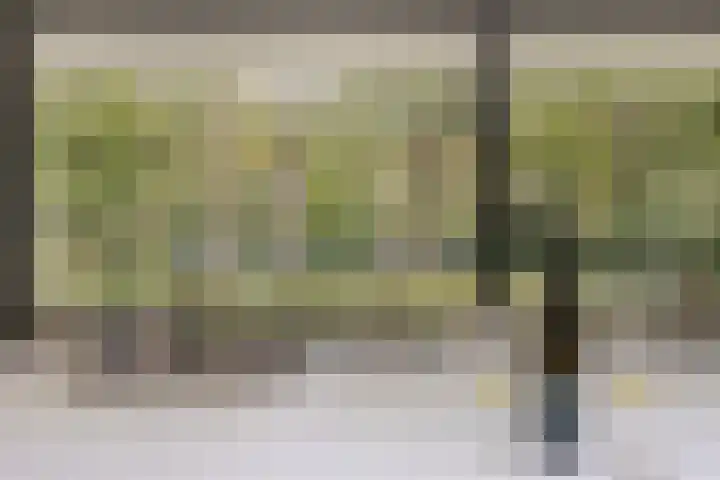 Lochemseweg 39 Barchem thumbnail 22