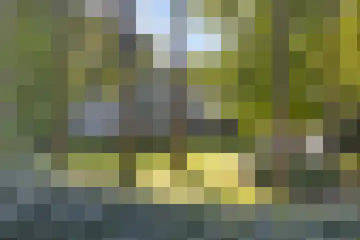 Lochemseweg 39 Barchem thumbnail 4