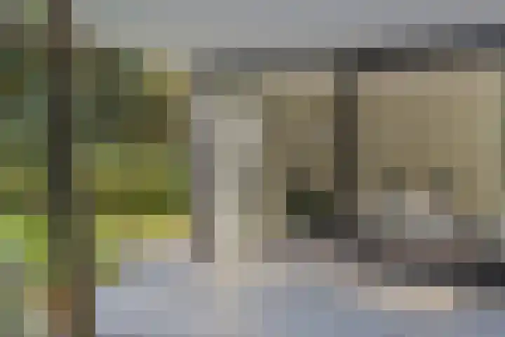 Lochemseweg 39 Barchem thumbnail 42