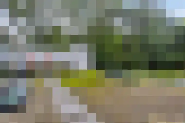Lochemseweg 39 Barchem thumbnail 48