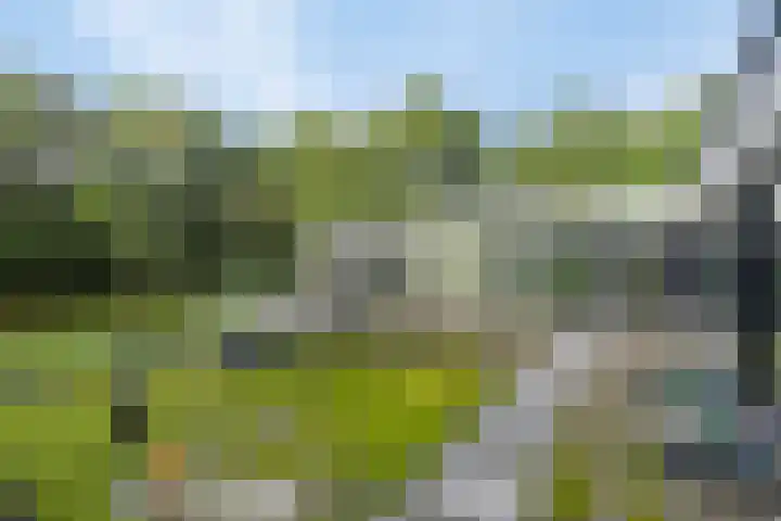Lochemseweg 39 Barchem thumbnail 49