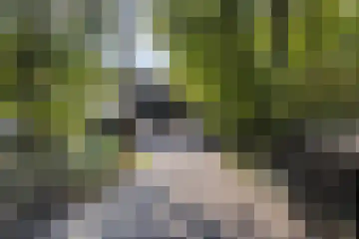 Lochemseweg 39 Barchem thumbnail 5