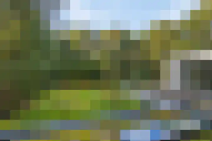 Lochemseweg 39 Barchem thumbnail 52