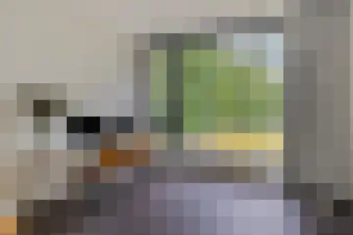 Lochemseweg 39 Barchem thumbnail 60