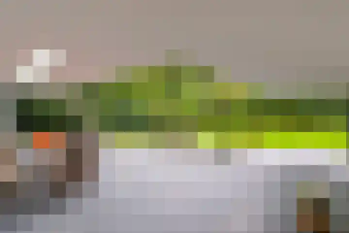 Lochemseweg 39 Barchem thumbnail 68