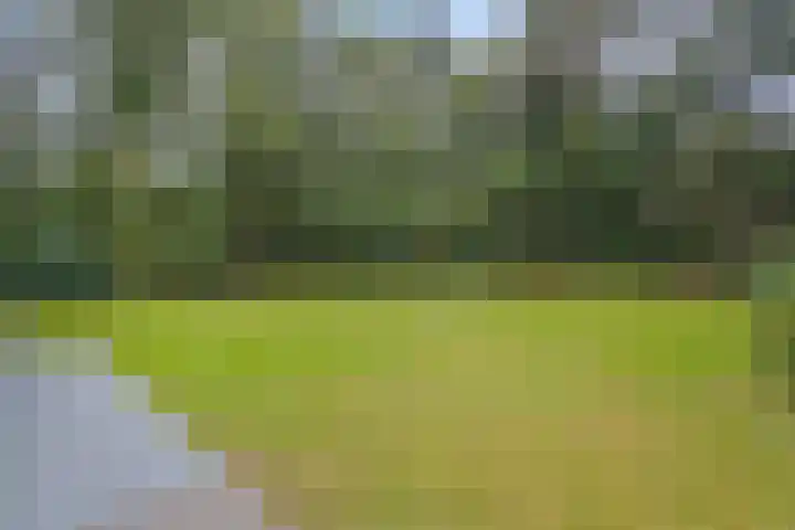 Lochemseweg 39 Barchem thumbnail 69