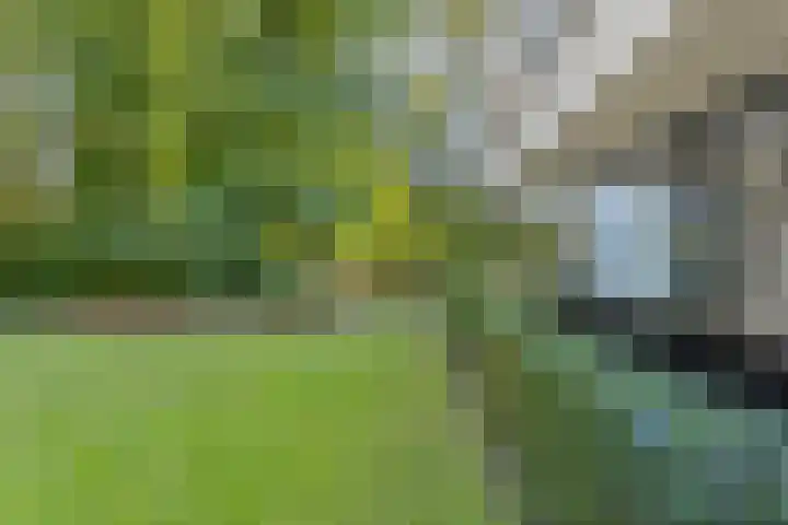 Lochemseweg 39 Barchem thumbnail 70