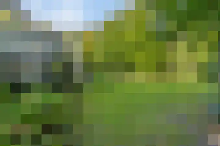 Lochemseweg 39 Barchem thumbnail 71
