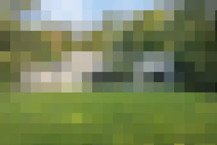Lochemseweg 39 Barchem thumbnail 72