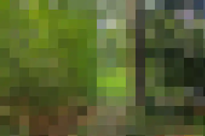 Lochemseweg 39 Barchem thumbnail 74