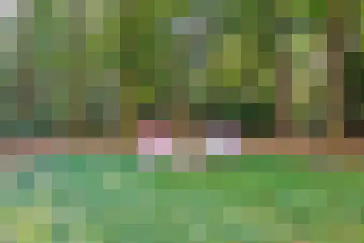 Lochemseweg 39 Barchem thumbnail 76
