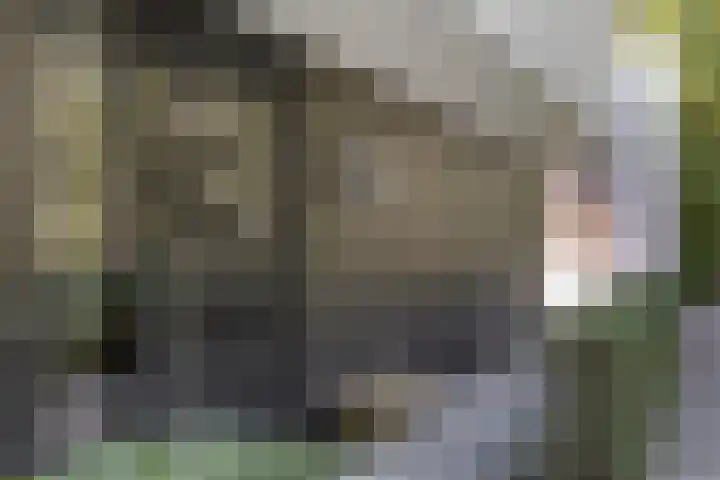Lochemseweg 39 Barchem thumbnail 8