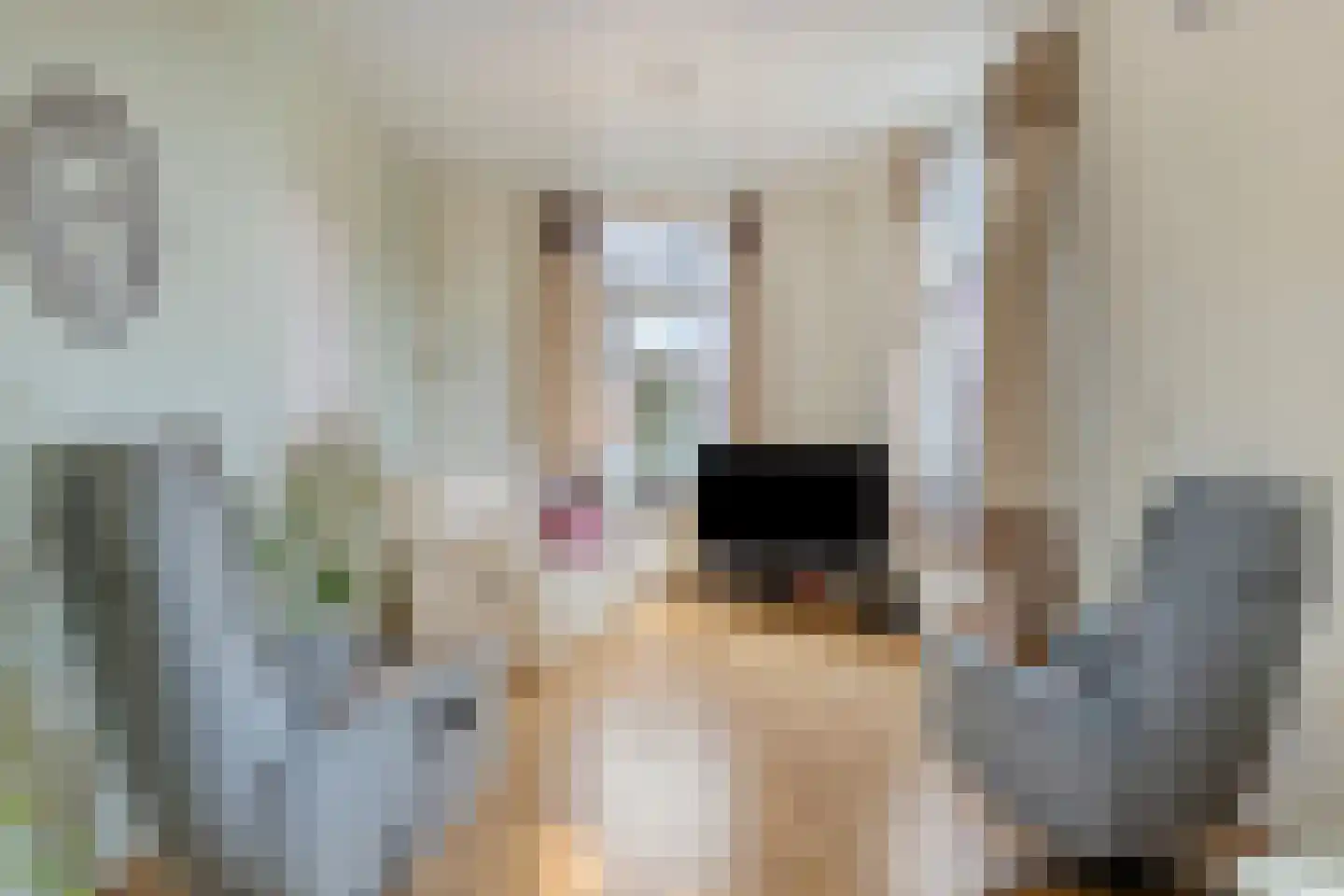 Lochemseweg 39 Borculo thumbnail 10