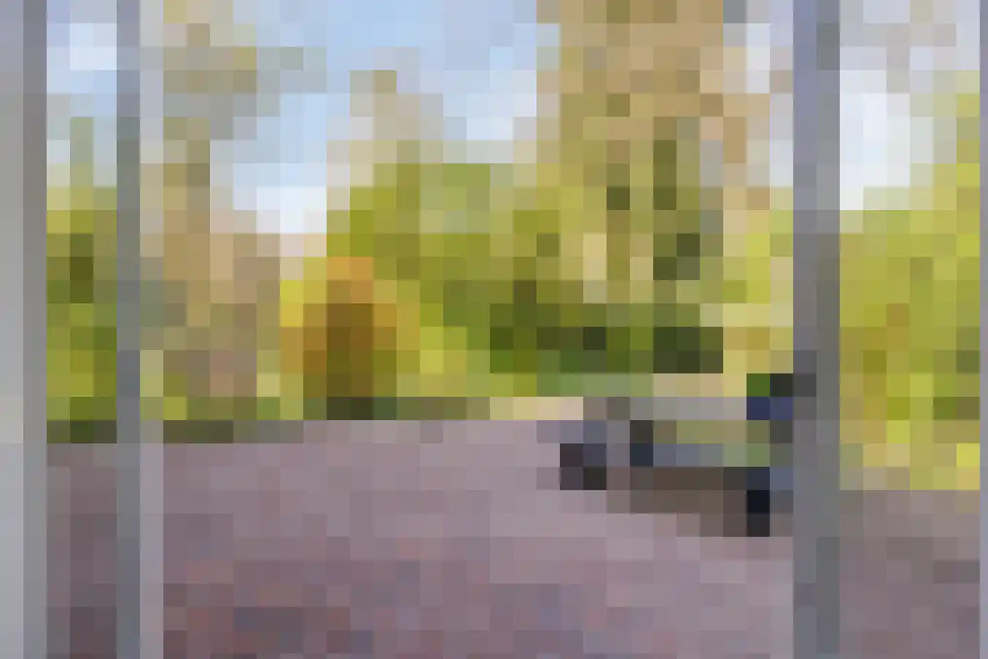 Lochemseweg 39 Epse thumbnail 12