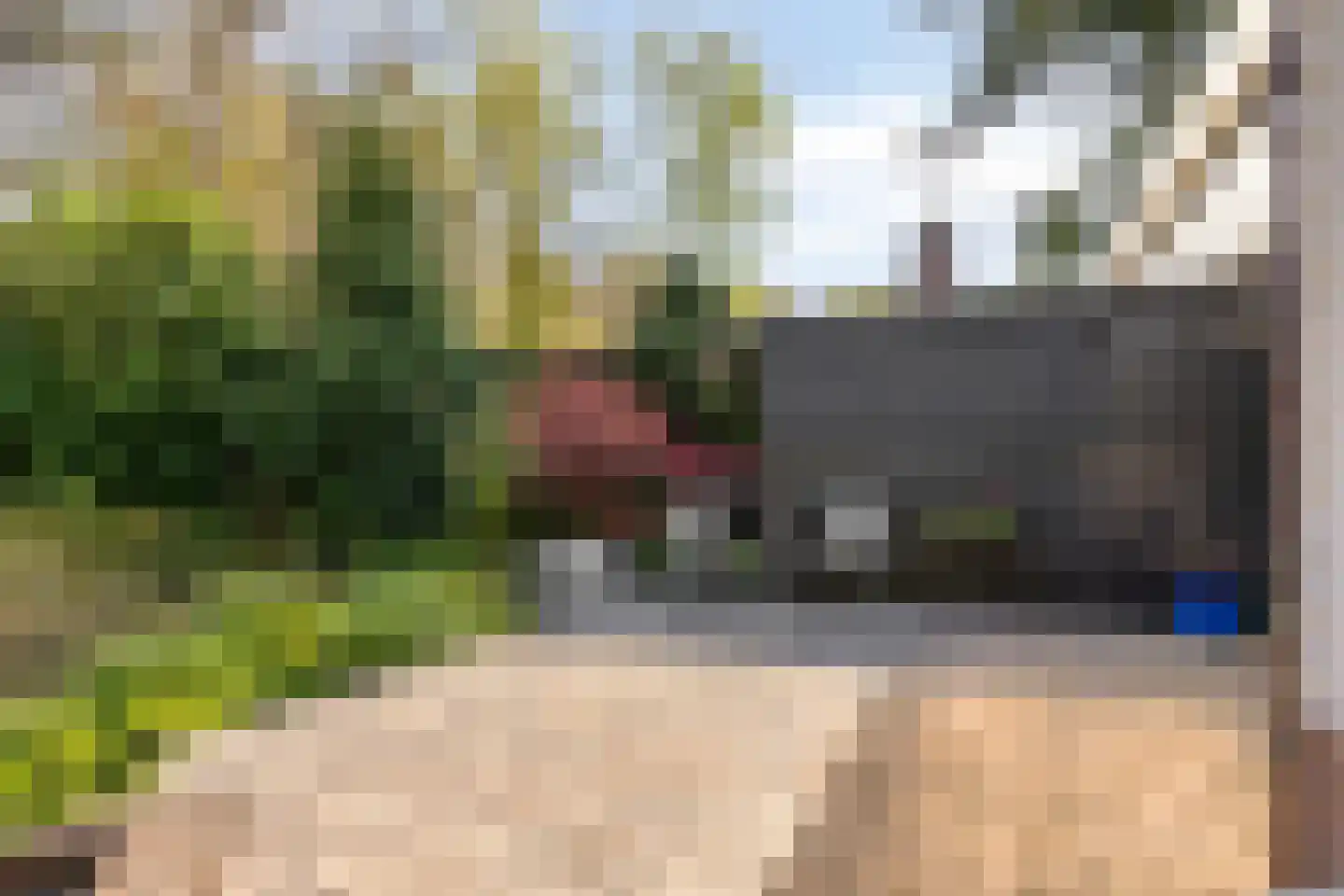 Lochemseweg 39 Epse thumbnail 14