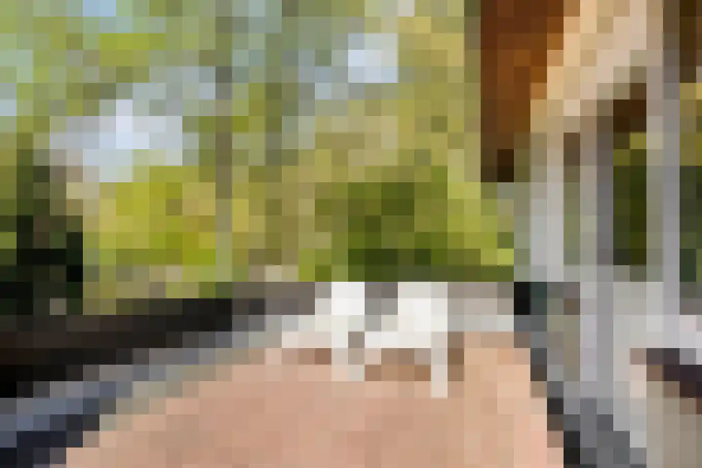 Lochemseweg 39 Epse thumbnail 21