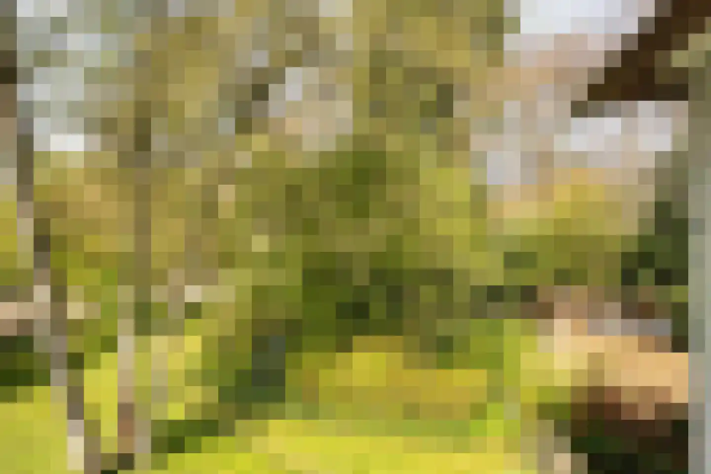 Lochemseweg 39 Epse thumbnail 22
