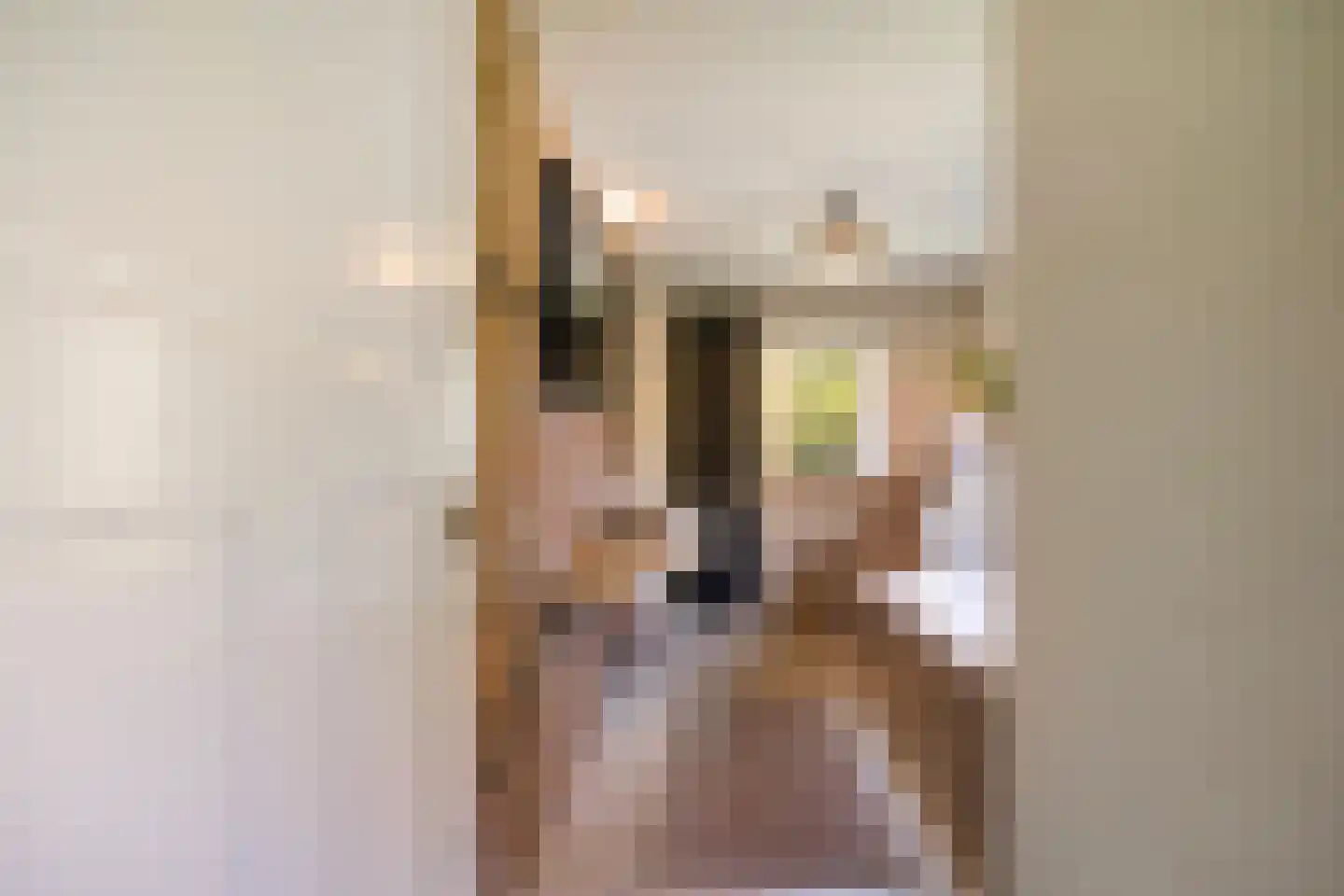 Lochemseweg 39 Epse thumbnail 27