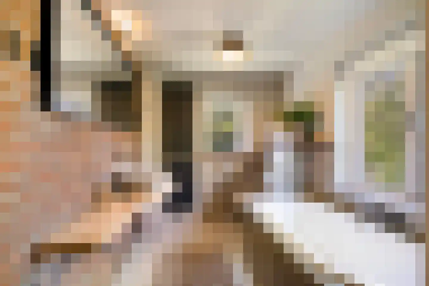 Lochemseweg 39 Epse thumbnail 28